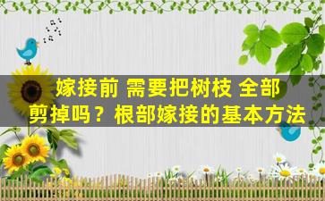 嫁接前 需要把树枝 全部剪掉吗？根部嫁接的基本方法